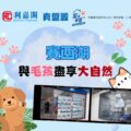 Pet friendly banner promoting a nature outing for dogs at a lake with a cartoon dog pink paw prints logos and a film strip image