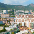 Aerial city view with green hills in the background, overlaid with Pavilla Rosa branding and Chinese text promoting a new low-density luxury home development.