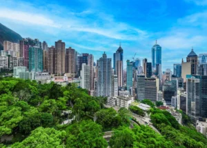 Dense city skyline behind a lush green park and trees under a blue sky