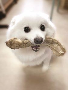 FullIMG3003E | 家的感覺 利嘉閣地產代理有限公司