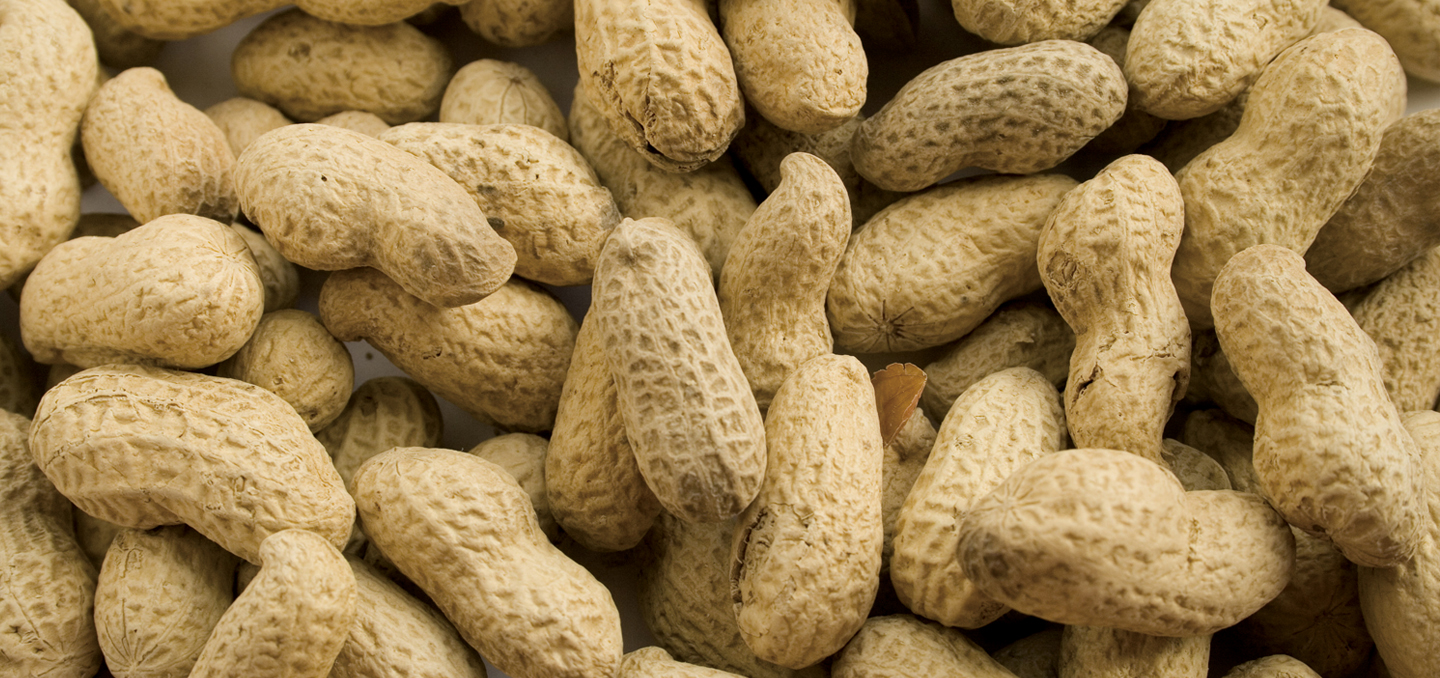 1 | 家的感覺 利嘉閣地產代理有限公司