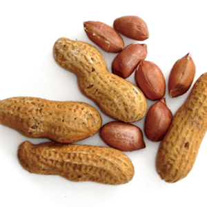 3 | 家的感覺 利嘉閣地產代理有限公司