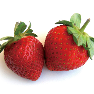 6 | 家的感覺 利嘉閣地產代理有限公司