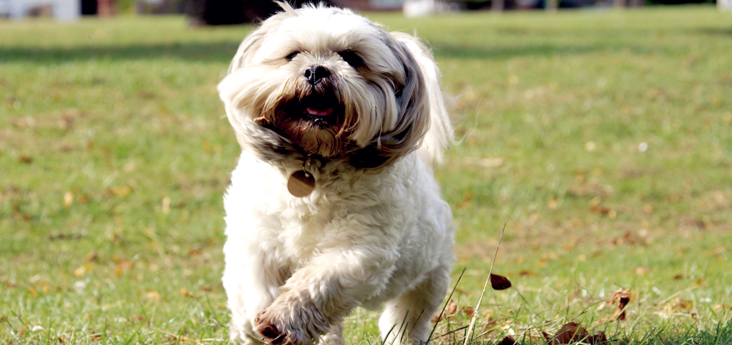 1 | 家的感覺 利嘉閣地產代理有限公司