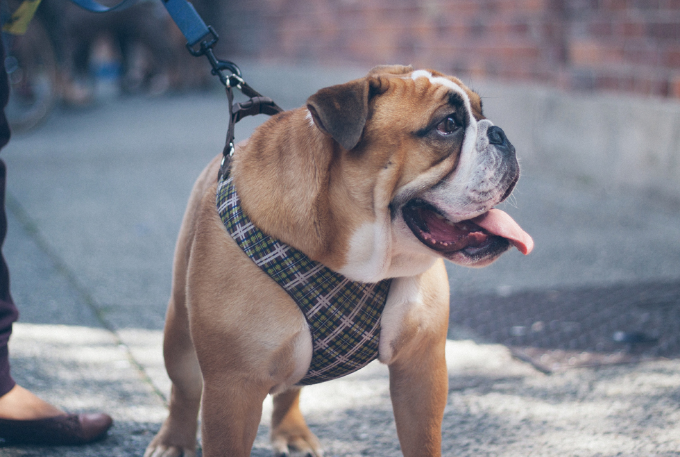 2 | 家的感覺 利嘉閣地產代理有限公司