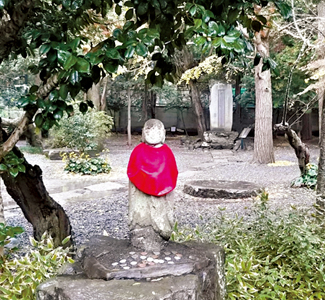 6 | 家的感覺 利嘉閣地產代理有限公司