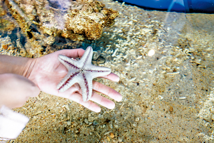 4 | 家的感覺 利嘉閣地產代理有限公司