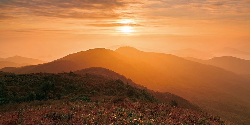 3 | 家的感覺 利嘉閣地產代理有限公司