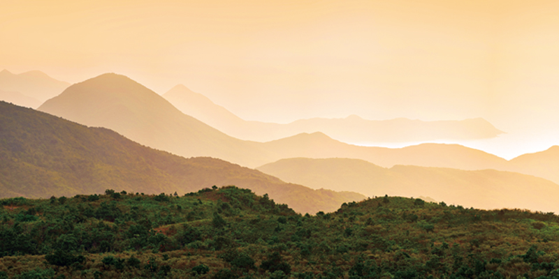 6 | 家的感覺 利嘉閣地產代理有限公司