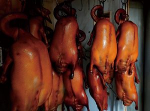 3 | 家的感覺 利嘉閣地產代理有限公司