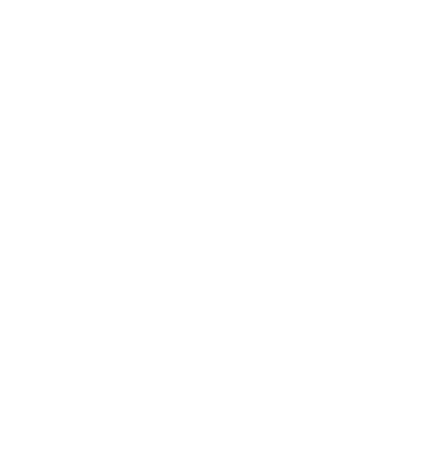 VR View